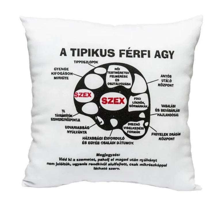 Tipikus férfi agy párna - Vicces ajándék