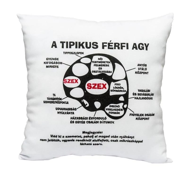Tipikus férfi agy párna - Vicces ajándék