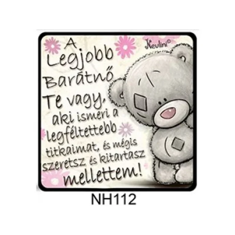 Hűtőmágnes-A legjobb barátnő