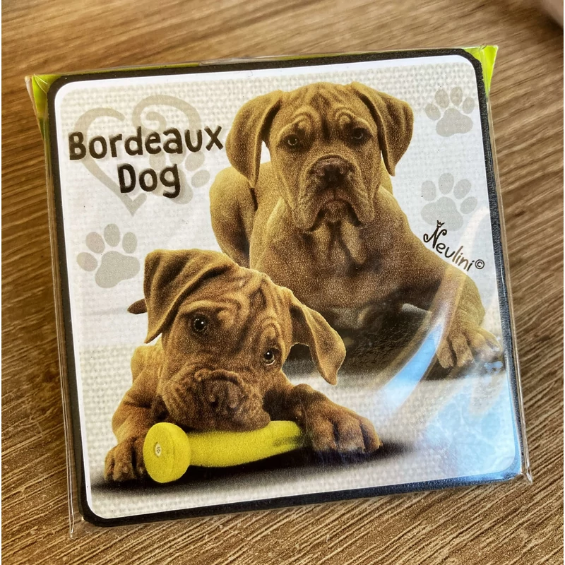 Hűtőmágnes-Bordeaux dog