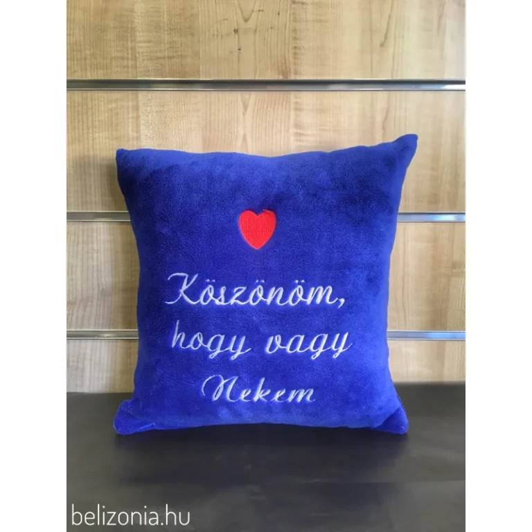 Hímzett párna - Köszönöm hogy vagy