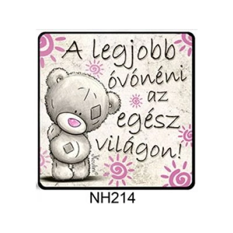Hűtőmágnes - A legjobb óvónéni