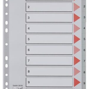 Regiszter, műanyag, A4, 1-10, ESSELTE,szürke