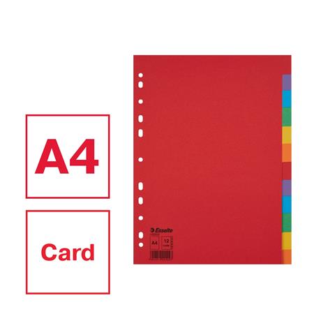 Regiszter, karton, A4, 12 részes, ESSELTE "Economy", színes - Image 2