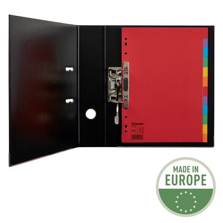 Regiszter, karton, A4, 12 részes, ESSELTE "Economy", színes - Image 3
