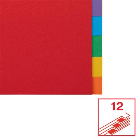Regiszter, karton, A4, 12 részes, ESSELTE "Economy", színes - Image 5