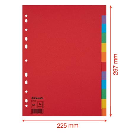 Regiszter, karton, A4, 12 részes, ESSELTE "Economy", színes - Image 6