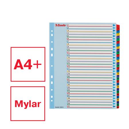Regiszter, laminált karton, A4 Maxi, 1-31, újraírható, ESSELTE - Image 2