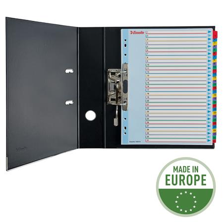 Regiszter, laminált karton, A4 Maxi, 1-31, újraírható, ESSELTE - Image 3