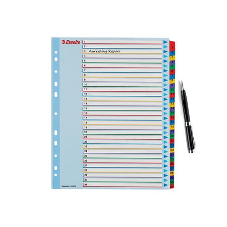 Regiszter, laminált karton, A4 Maxi, 1-31, újraírható, ESSELTE - Image 4