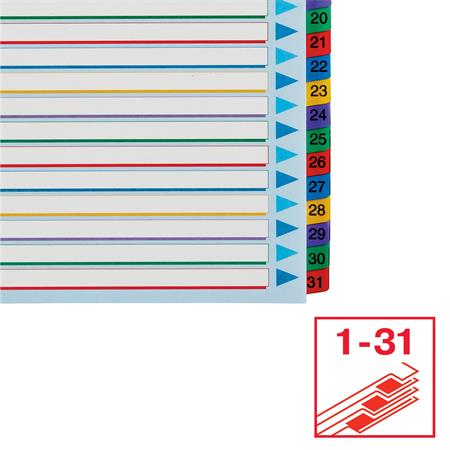 Regiszter, laminált karton, A4 Maxi, 1-31, újraírható, ESSELTE - Image 5