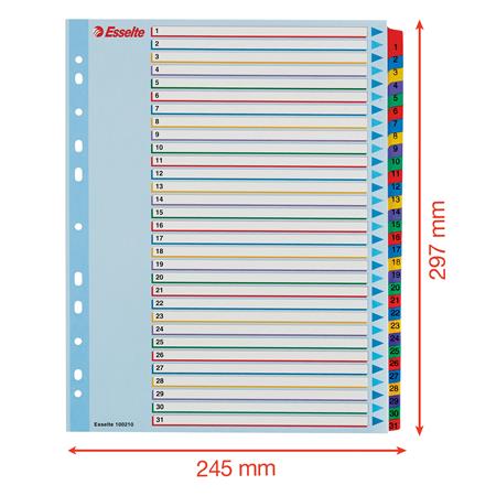 Regiszter, laminált karton, A4 Maxi, 1-31, újraírható, ESSELTE - Image 6