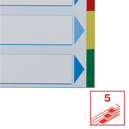 Regiszter, műanyag, A4, 5 részes, ESSELTE - Image 5