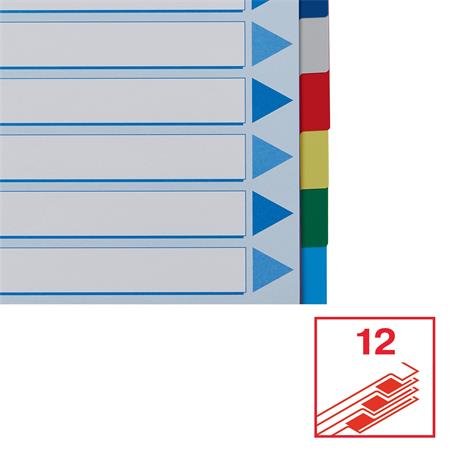 Regiszter, műanyag, A4, 12 részes, ESSELTE - Image 6