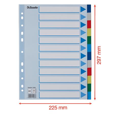 Regiszter, műanyag, A4, 12 részes, ESSELTE - Image 7
