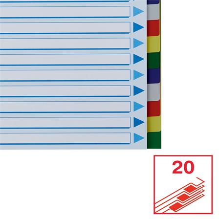 Regiszter, műanyag, A4, 20 részes, ESSELTE - Image 6