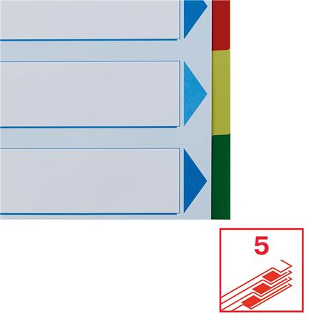 Regiszter, műanyag, A4 Maxi, 5 részes, ESSELTE - Image 6