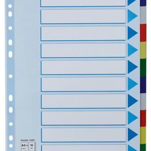 Regiszter, műanyag, A4 Maxi, 10 részes, ESSELTE