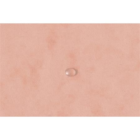 Gumis mappa, prespán, A4, EXACOMPTA, "Aquarel", korall - Image 5