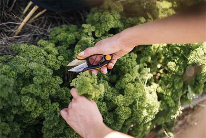 Fűszervágó olló, FISKARS "Solid™ SP220" - Image 6