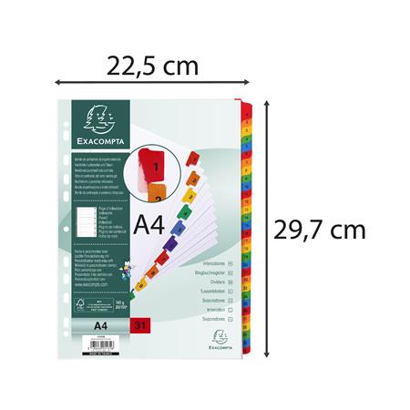 Regiszter, karton, A4, 1-31, EXACOMPTA, fehér - Image 3