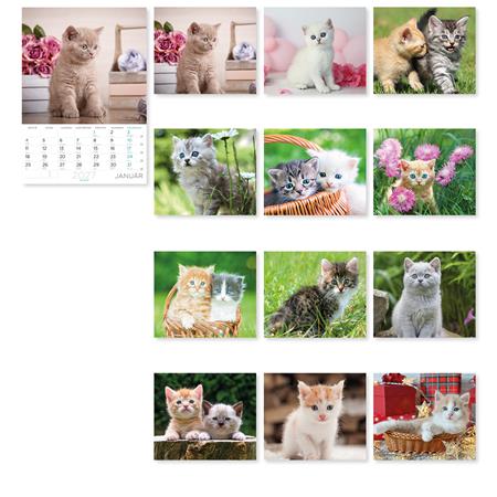 Falinaptár, A4, LIZZYCALENDAR "Cicák" - Image 2